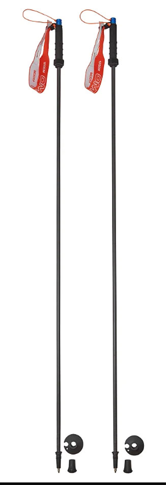 Z-Lite Poles Carbon
