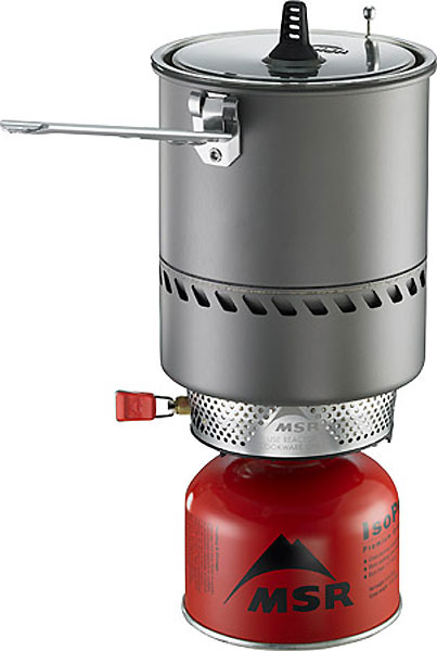 MSR Reactor